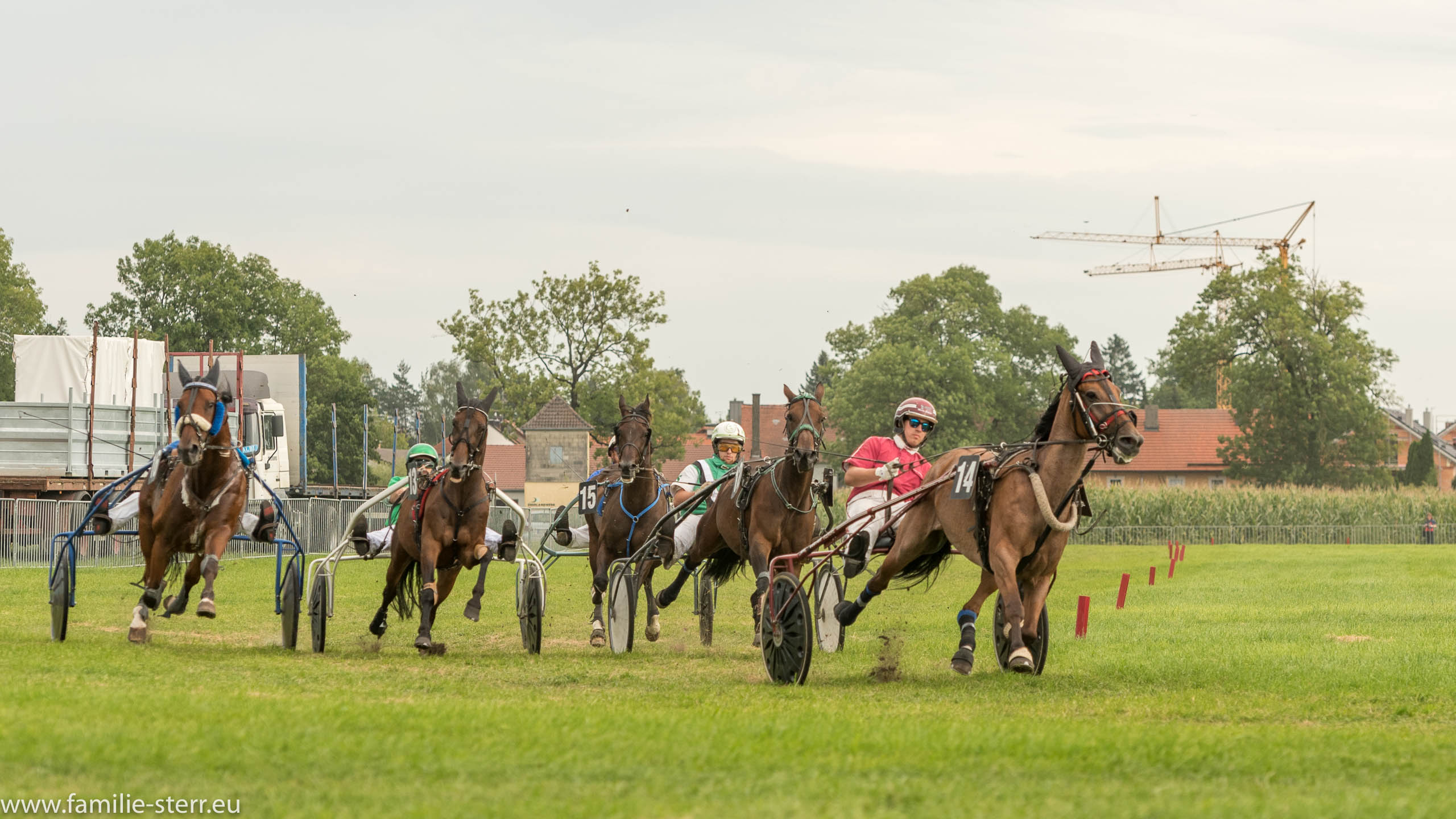 Trabrennen in Erding 2017